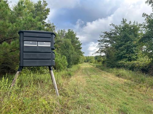 227 Acres in Quitman County, MS : Marks : Quitman County : Mississippi