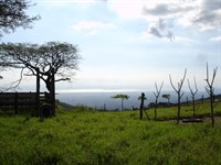 Blue Horizon Farm : Montes De Oro : Costa Rica