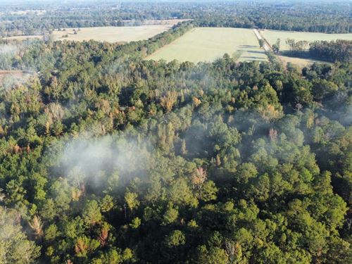 6 Acres Notasulga, AL : Notasulga : Macon County : Alabama