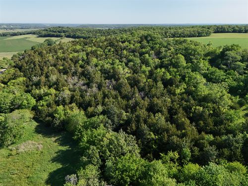Pleasant Grove Build Site : Baldwin City : Douglas County : Kansas