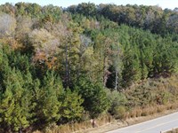 47 Acres in Cleburne County : Ranburne : Cleburne County : Alabama