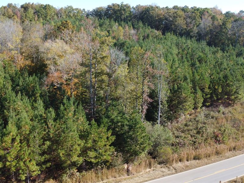 47 Acres in Cleburne County : Ranburne : Cleburne County : Alabama