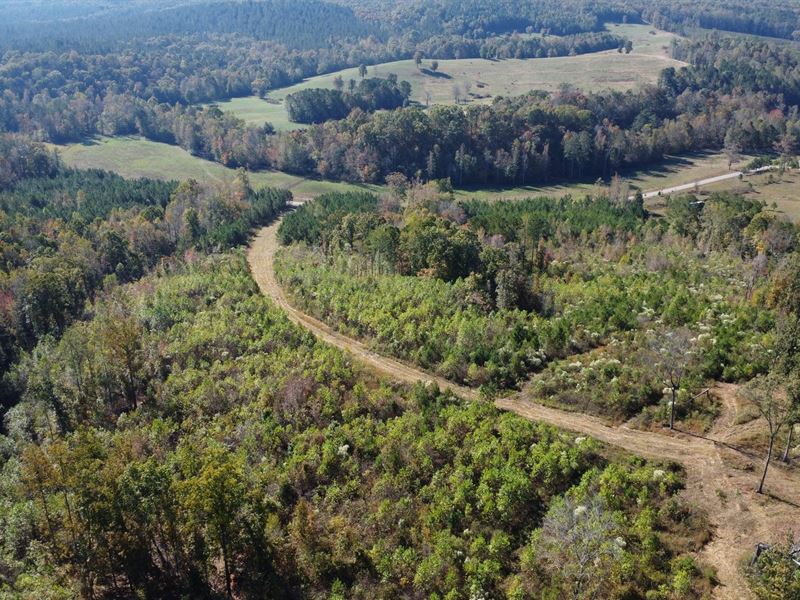 45 Acres in Cleburne County : Ranburne : Cleburne County : Alabama