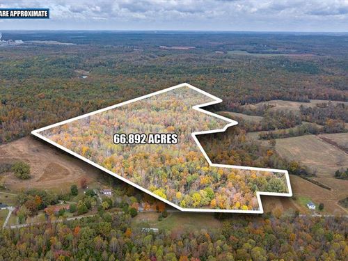 Prime Recreational Land : Drakesboro : Muhlenberg County : Kentucky