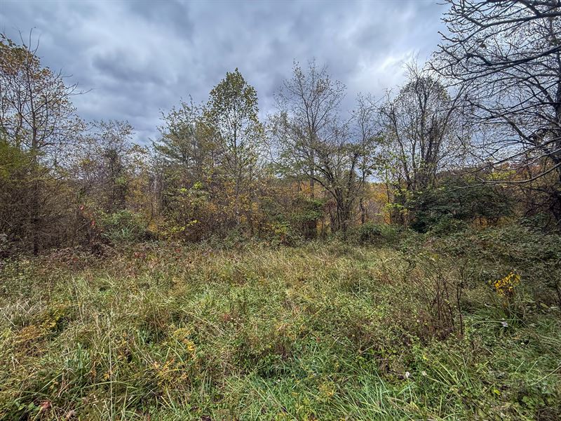 Pearl Wood Rd Lot 1, 19 Acres : Albany : Athens County : Ohio