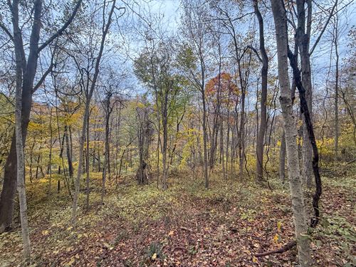 Pearl Wood Rd Lot 2 20 : Albany : Athens County : Ohio