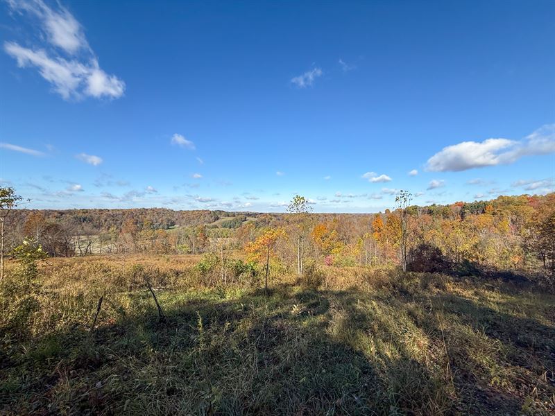 Schmeltzer Rd, 30 Acres : Bremen : Hocking County : Ohio