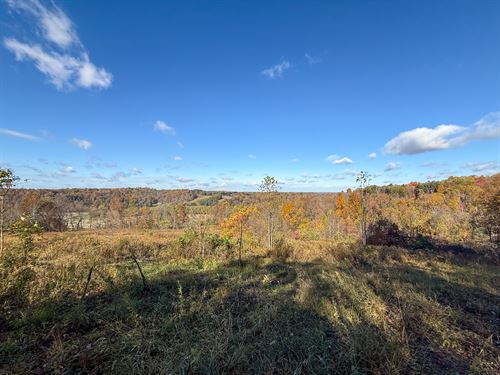 Schmeltzer Rd, 30 Acres : Bremen : Hocking County : Ohio