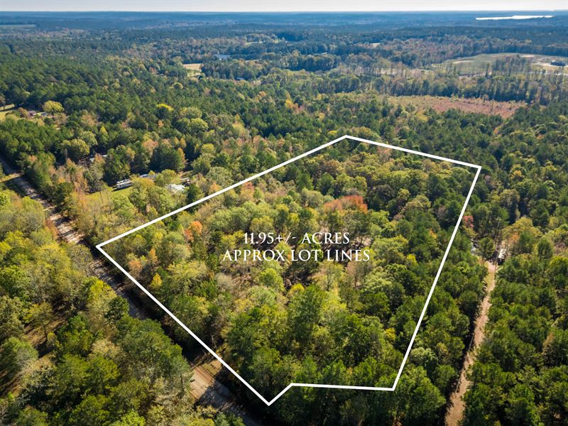 11+ Acres in Madison : Madison : Greene County : Georgia