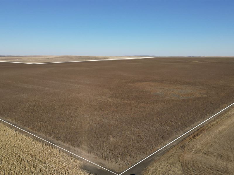 Cedar Creek 712 : Reeder : Adams County : North Dakota