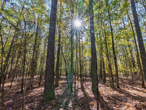 Wilson Lane Tract : Arnoldsville : Oglethorpe County : Georgia