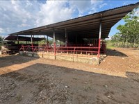 Turnkey Dairy & Cattle Farm : Guatuso : Costa Rica