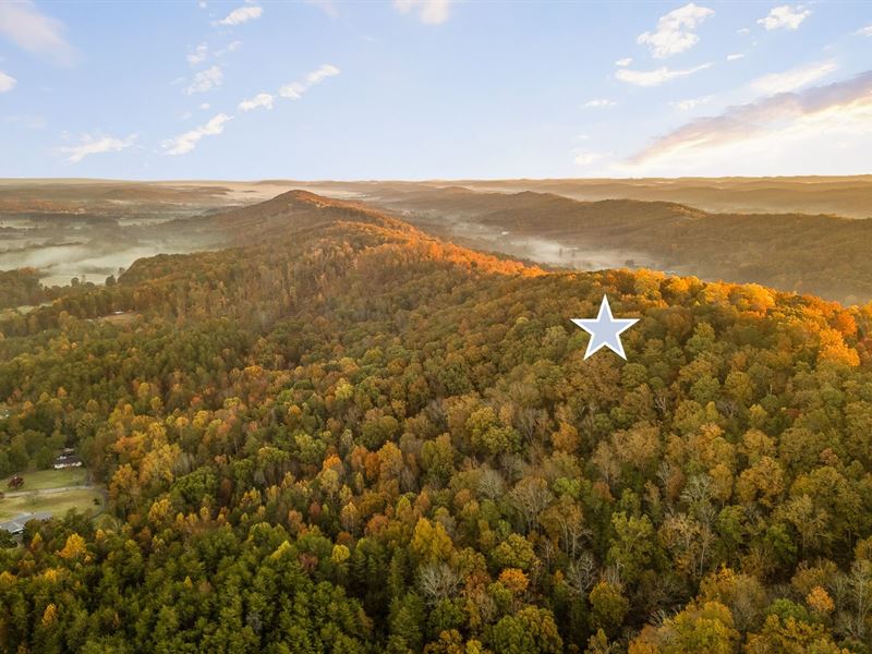 Mountain Beauty, Meigs Co. Tenn : Decatur : Meigs County : Tennessee