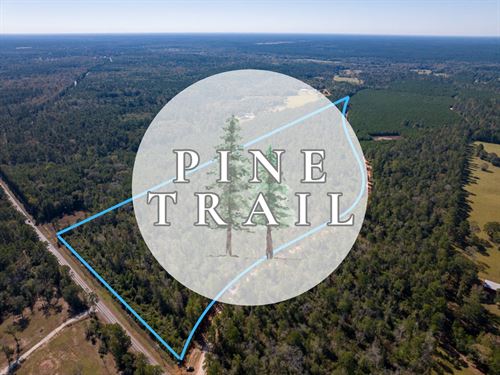 7 Acres, T-8, Eldridge Road, Pin : Cleveland : San Jacinto County : Texas