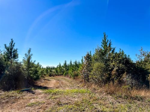 18 Acres, T-3, FM 787, 285012 : Votaw : Hardin County : Texas