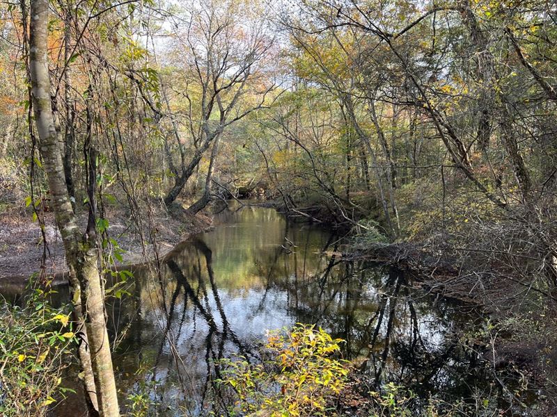 New Price, Coalfire Creek Tract A 1 : Reform : Pickens County : Alabama