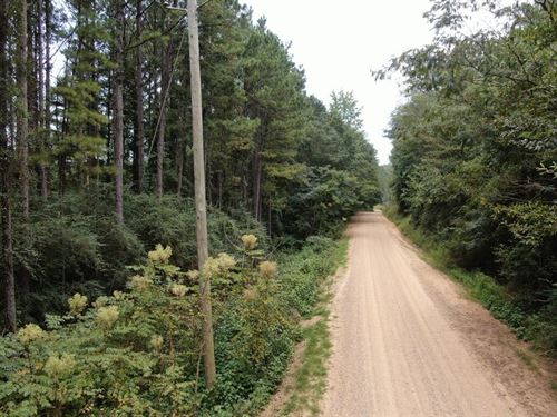 New Price, Coalfire Creek Tract : Reform : Pickens County : Alabama