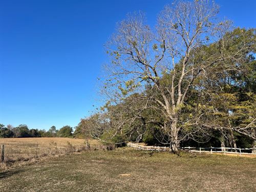 Henderson Tract : Minter : Dallas County : Alabama