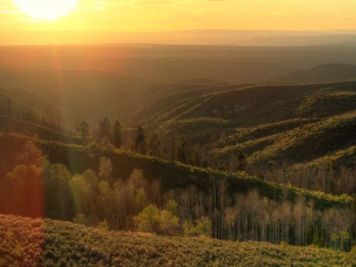 Double Creek Summit : Rifle : Garfield County : Colorado
