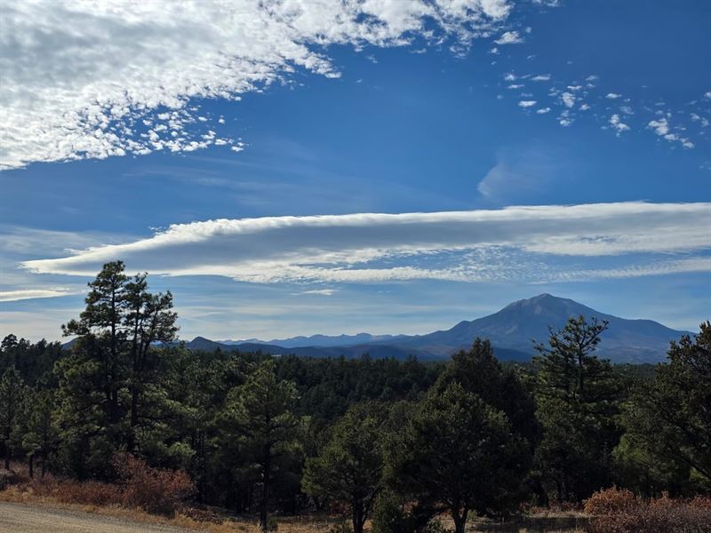 138 Blackhawk Ranch : Aguilar : Las Animas County : Colorado