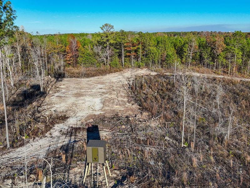 30 Acres in Tallapoosa County : Jacksons Gap : Tallapoosa County : Alabama