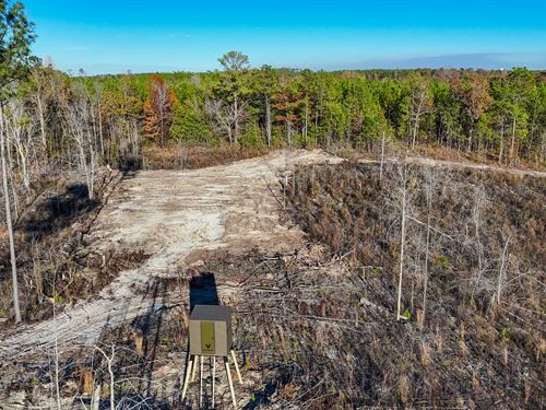 30 Acres in Tallapoosa County : Jacksons Gap : Tallapoosa County : Alabama