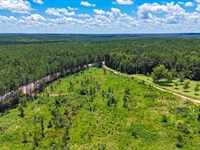 10 Acre Homesite in Lee County : Salem : Lee County : Alabama