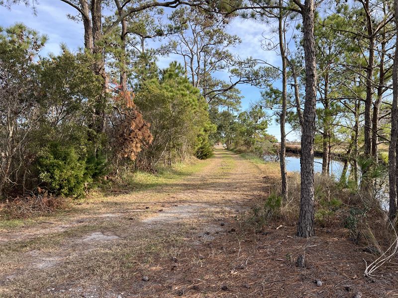 Hyde County Acreage Below Tax Value : Engelhard : Hyde County : North Carolina