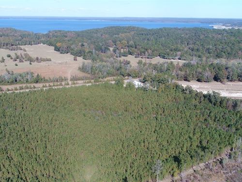 15 Acres Henry Co Rd 46 : Shorterville : Henry County : Alabama