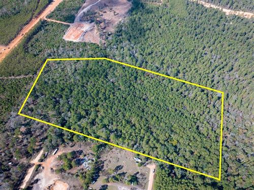 21.5 Acres, Mendez Road : Willis : San Jacinto County : Texas