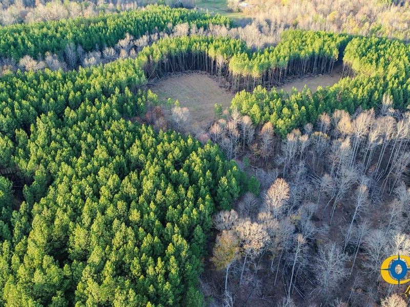 Heart Hill Tract : Hohenwald : Perry County : Tennessee