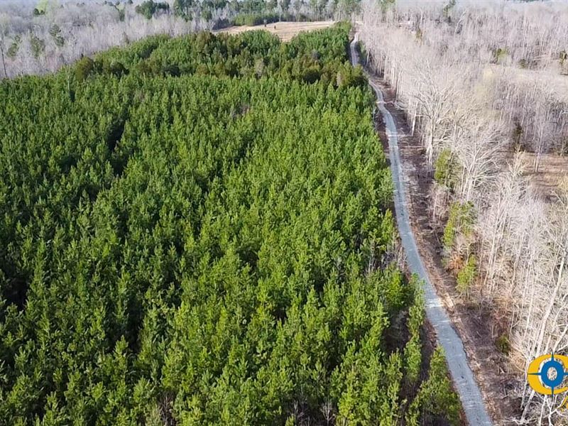 Hillard Branch 3 : Parsons : Decatur County : Tennessee