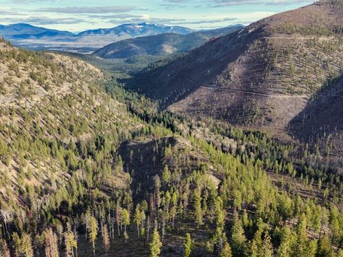 Swamp Creek Hunting Ranch : Plains : Sanders County : Montana
