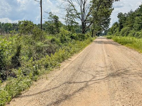 Prairie Grove Tract : Monticello : Drew County : Arkansas