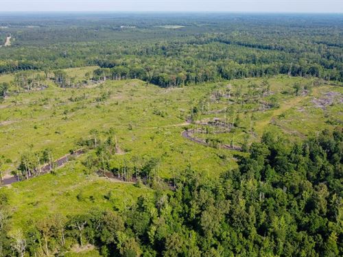 Hermitage Tract : Hermitage : Bradley County : Arkansas