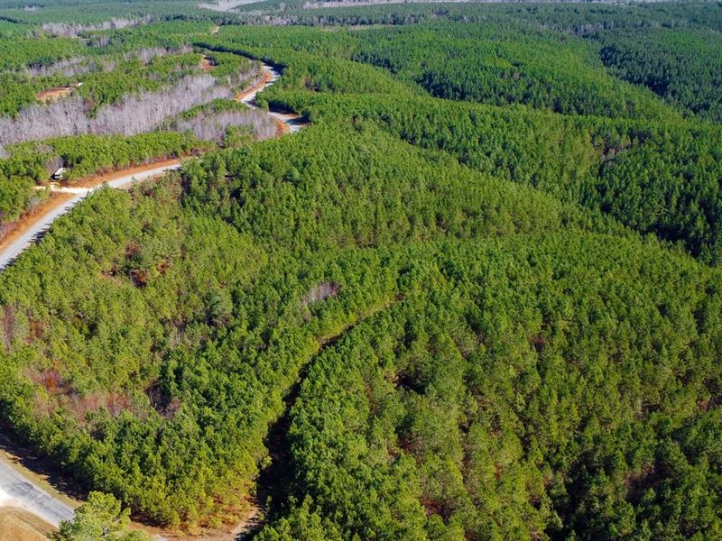 Rockhouse Ridge : Hohenwald : Perry County : Tennessee