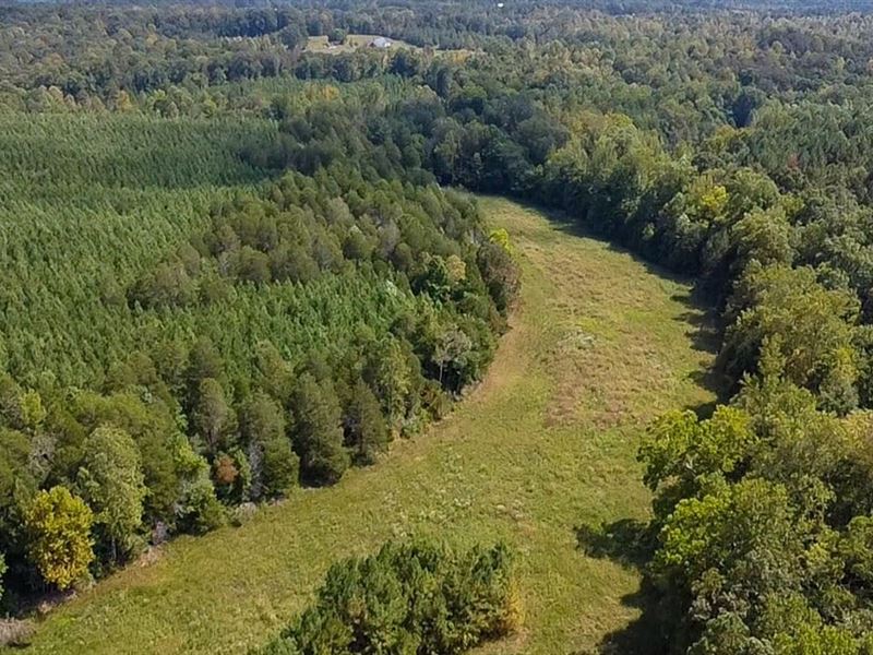 Jeanette Retreat Tract : Parsons : Decatur County : Tennessee