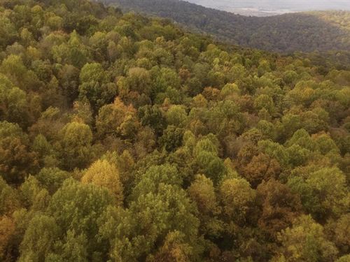 91.29 Acres in Grundy County, TN : Tracy City : Grundy County : Tennessee