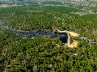 Laurens Ponds & Pines : Dublin : Laurens County : Georgia