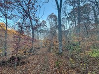 Deaver Rd Lot 1, 27 Acres : McConnelsville : Morgan County : Ohio