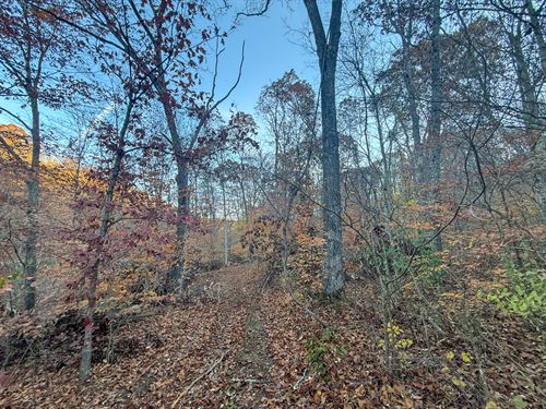 Deaver Rd Lot 1, 27 Acres : McConnelsville : Morgan County : Ohio