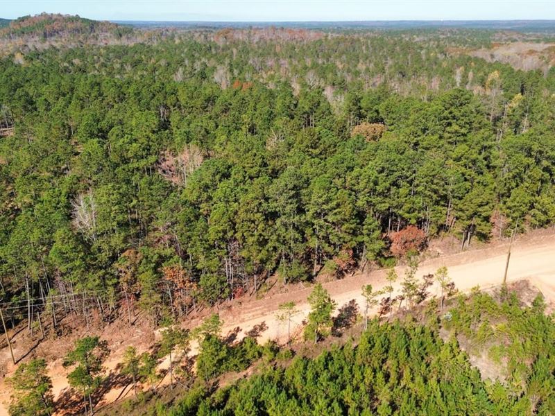 5 Acres Lee Co. AL : Salem : Lee County : Alabama