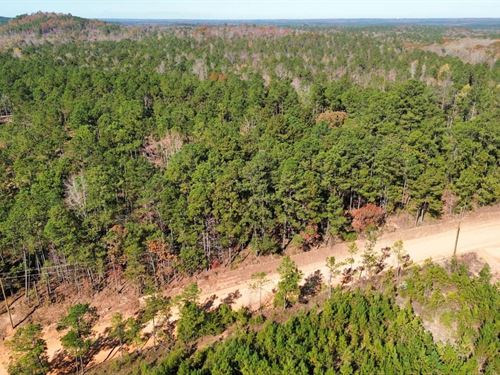 5 Acres Lee Co. AL : Salem : Lee County : Alabama