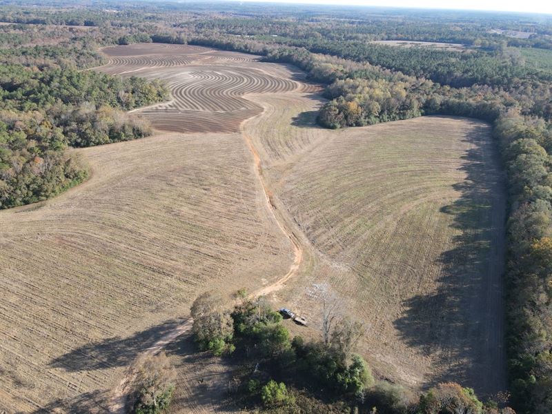 277 Acres White Oak Farm : Andalusia : Covington County : Alabama