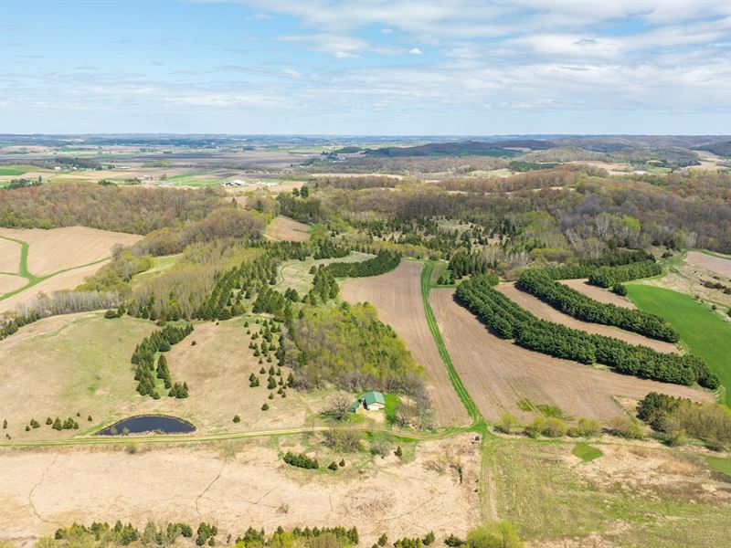 90 Acres, Pole Shed & Cabin : Mondovi : Buffalo County : Wisconsin