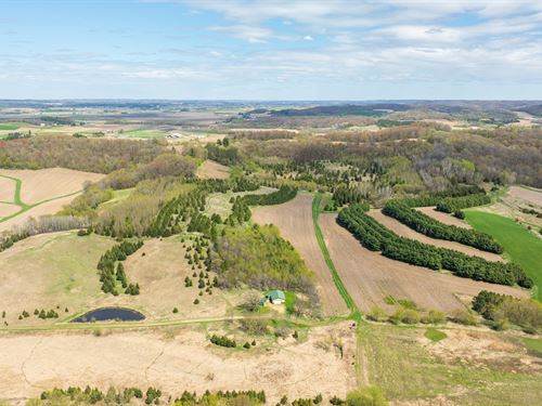 90 Acres, Pole Shed & Cabin : Mondovi : Buffalo County : Wisconsin