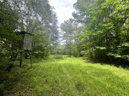 Deer Turkey Hunting Property Cabin : Lawrence : Newton County : Mississippi