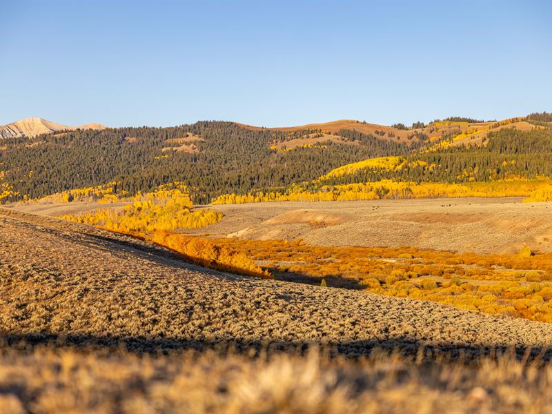 Maki Ma-K-Ha Creek Ranch 320 : Big Piney : Sublette County : Wyoming