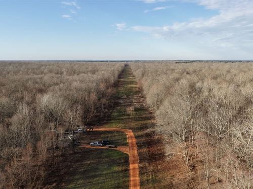 548.75 Acres in Grant County, AR : Malvern : Grant County : Arkansas