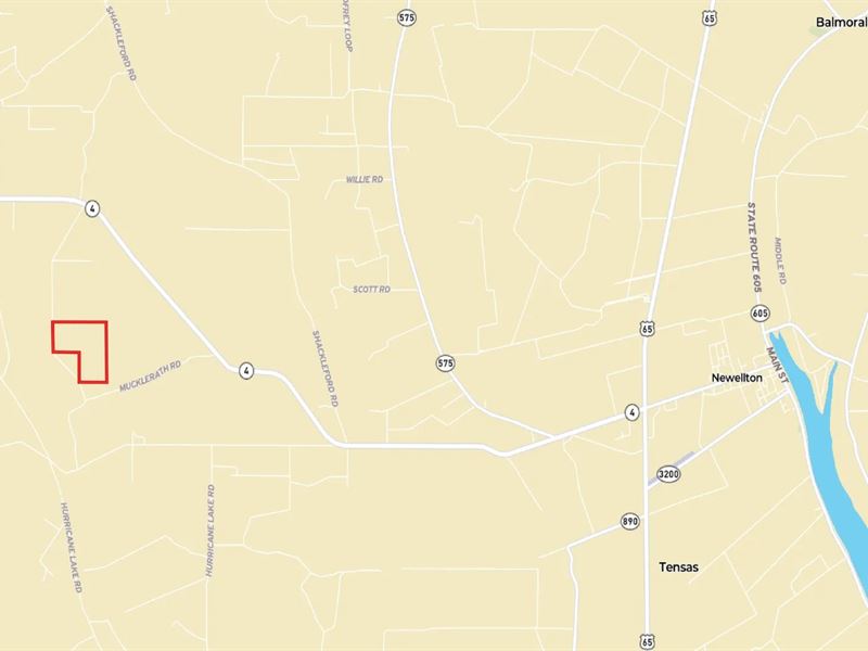 120 Acres in Tensas Parish, LA : Newellton : Tensas Parish : Louisiana